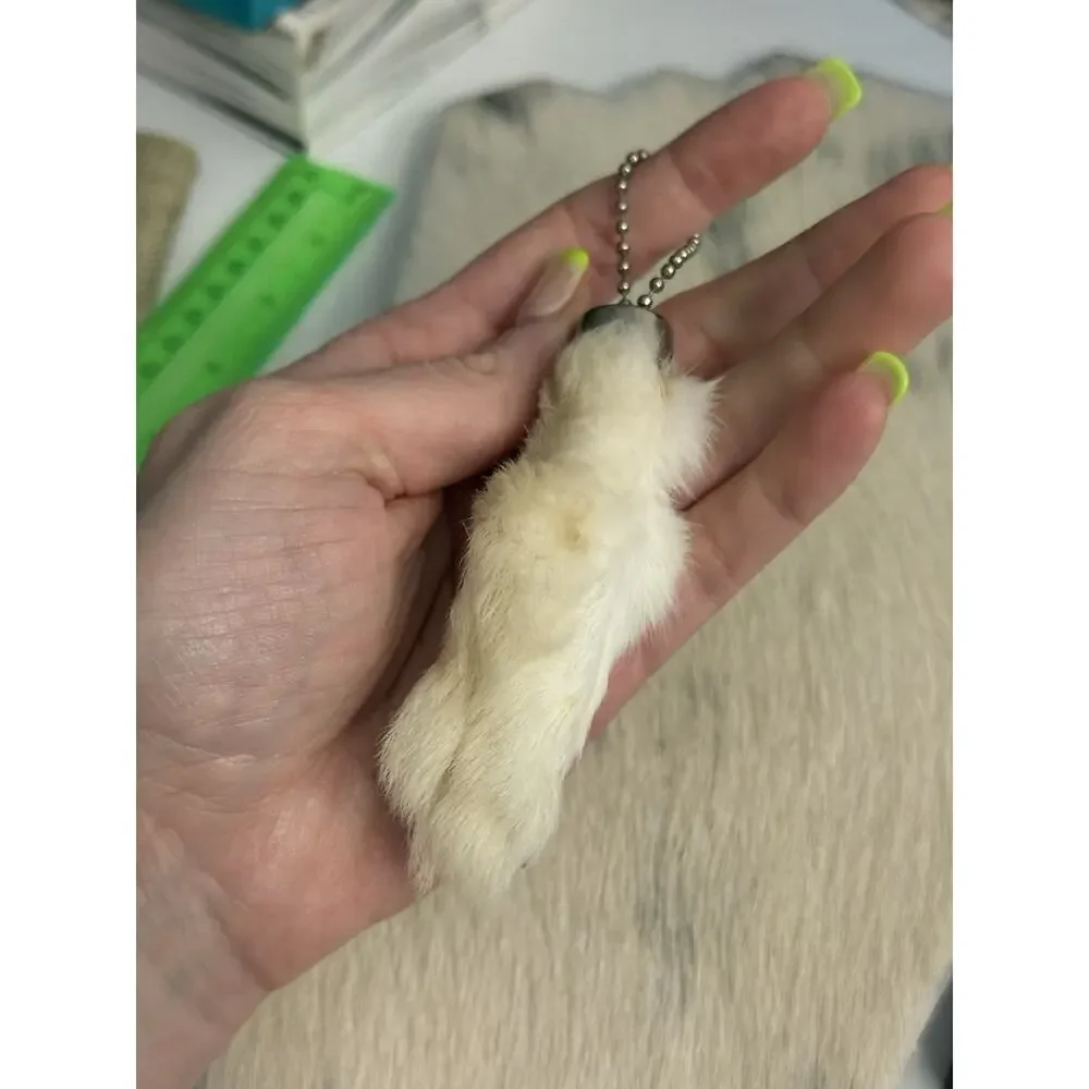 Sterling Silver Pink Blue Cotton Candy Bezel Rabbits Foot Keychain Pendant 925